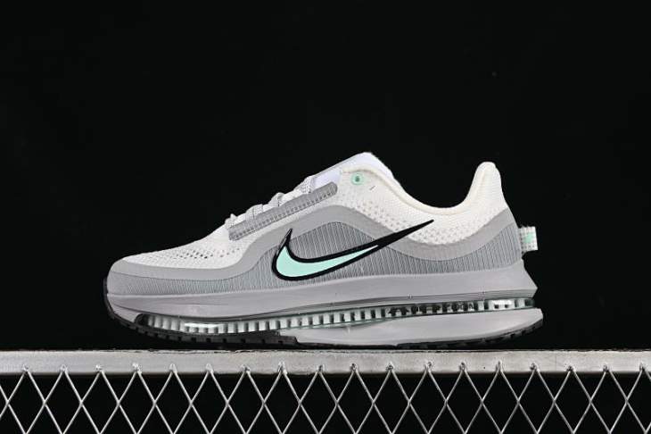 Picture of Nike Pegasus Premium _SKUfw20771533975840604fw